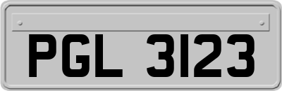 PGL3123