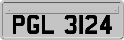 PGL3124