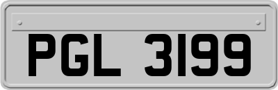 PGL3199
