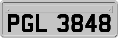 PGL3848