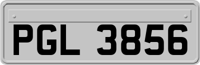 PGL3856