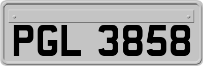 PGL3858