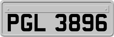 PGL3896