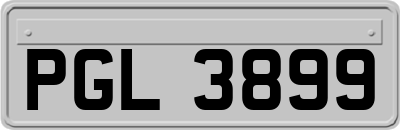 PGL3899