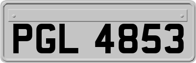PGL4853