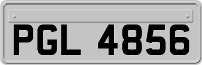PGL4856