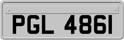 PGL4861