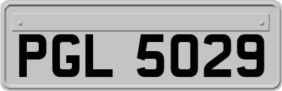 PGL5029