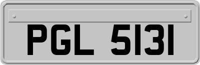 PGL5131