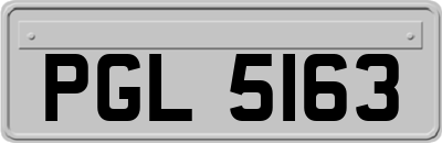PGL5163