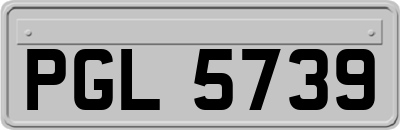 PGL5739