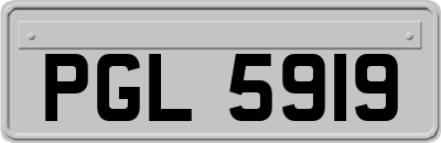 PGL5919