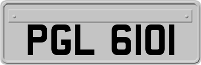 PGL6101