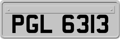 PGL6313