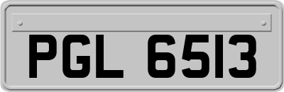 PGL6513