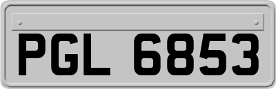 PGL6853