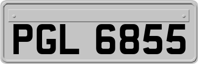 PGL6855