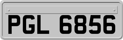 PGL6856