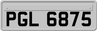 PGL6875
