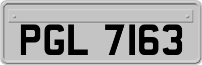 PGL7163