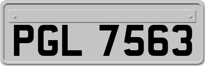 PGL7563