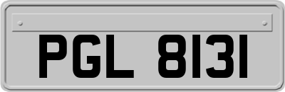 PGL8131