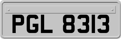 PGL8313