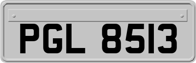 PGL8513