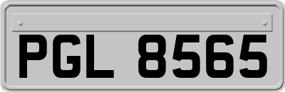 PGL8565