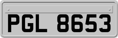 PGL8653