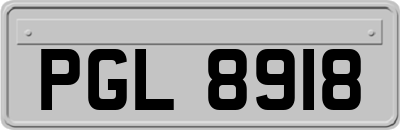 PGL8918