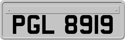 PGL8919