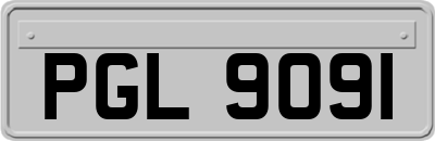 PGL9091