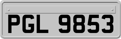 PGL9853