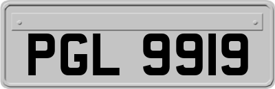 PGL9919