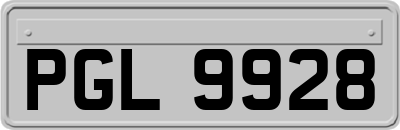 PGL9928