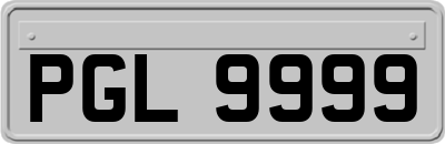 PGL9999