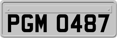 PGM0487