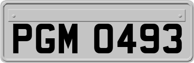 PGM0493