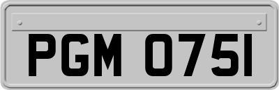 PGM0751