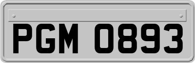 PGM0893