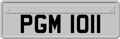 PGM1011