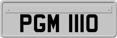 PGM1110