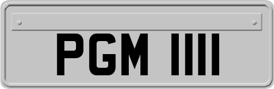 PGM1111