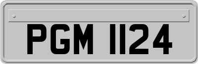 PGM1124