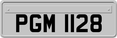 PGM1128