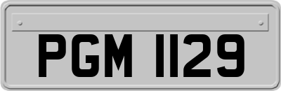 PGM1129