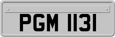 PGM1131