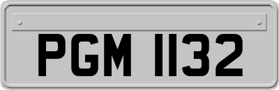 PGM1132