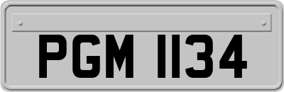 PGM1134